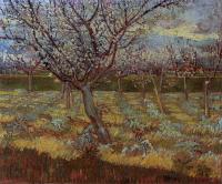 Gogh, Vincent van - Apricot Trees in Bloom